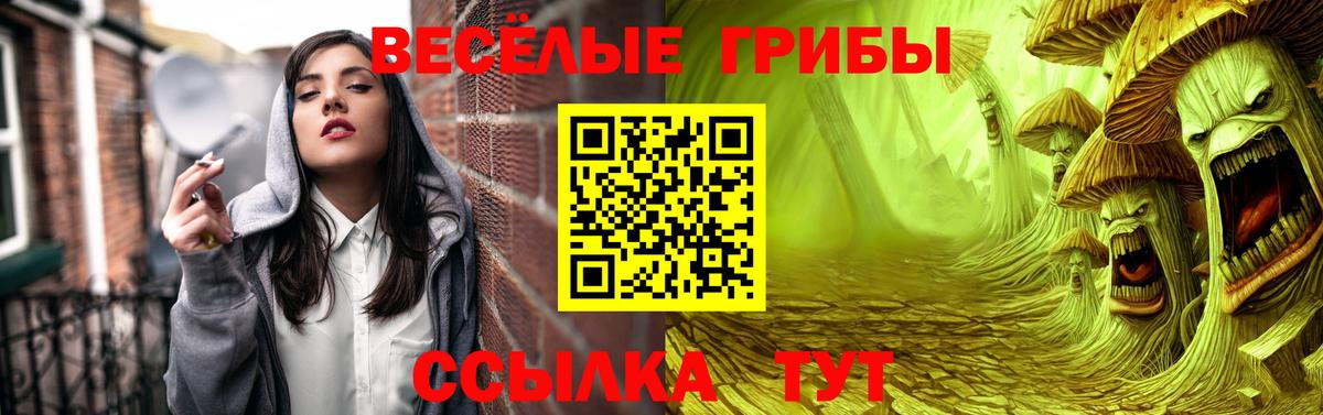 Кулебаки  Галлюциногенные грибы MAGIC MUSHROOMS  Вход с VPN 